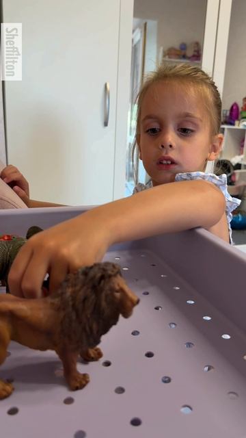 Стеллаж SHT-SS25-4 смотреть онлайн