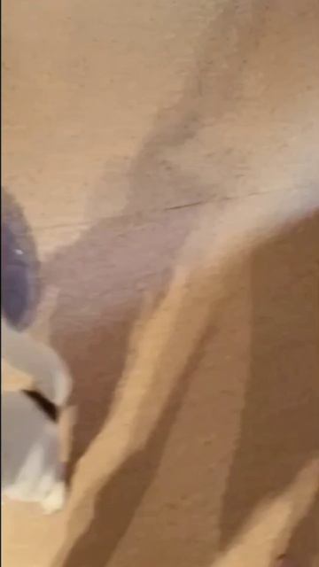 Скаюха.mp4 смотреть онлайн