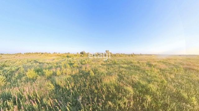 1717465 смотреть онлайн