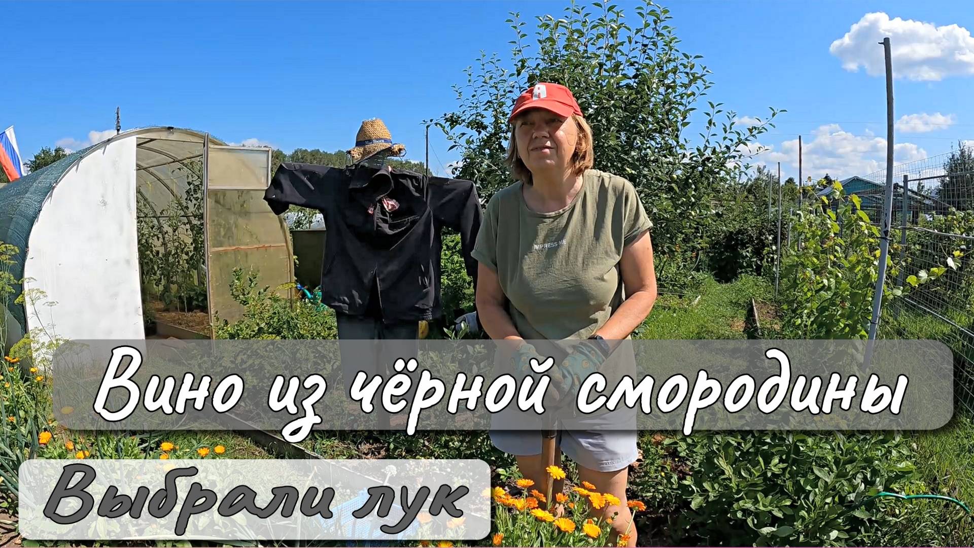 ВИНО ИЗ ЧЕРНОЙ СМОРОДИНЫ ВЫБРАЛИ ЛУК смотреть онлайн