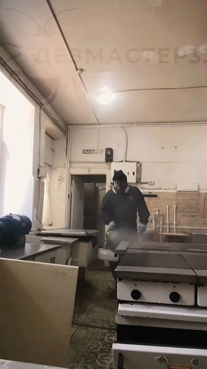 Обработка от тараканов от профессионалов