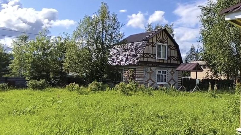 8664783 Кедровый 16 смотреть онлайн