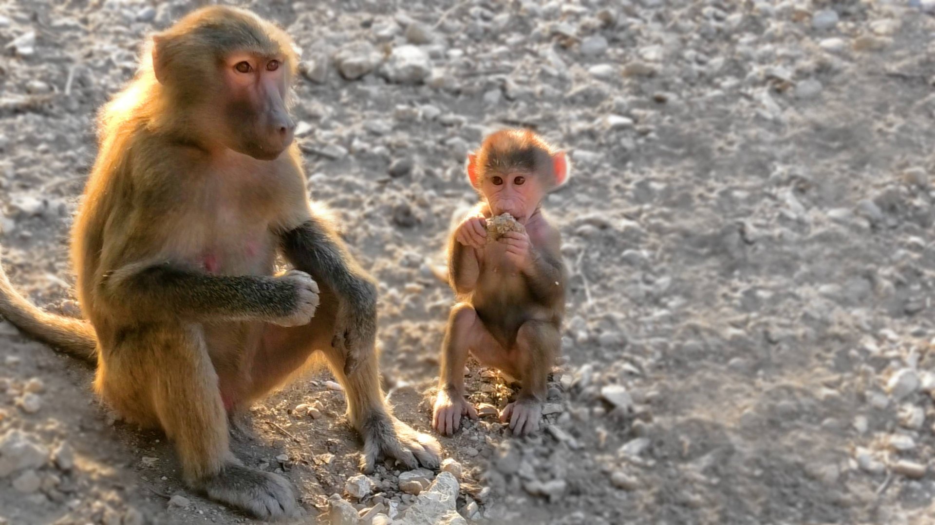 Такого ЕЩЕ НЕ БЫЛО - нам ДОКУМЕНТЫ ПОКАЗЫВАЛИ! Раздали кабачки ярости! В чем проблема ЛЮСИ и ЛИДЫ? смотреть онлайн