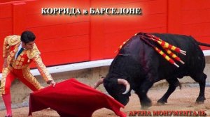 КОРРИДА в БАРСЕЛОНЕ. АРЕНА МОНУМЕНТАЛЬ