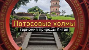 Природа Китая. Лотосовые холмы в Гуанчжоу - мир гармонии и спокойствия! Как легко добраться?