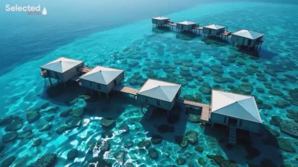 Música para la mañana ☀️ Musica para trabajar activo y alegre ☀️ Música para levantar el animo 2025