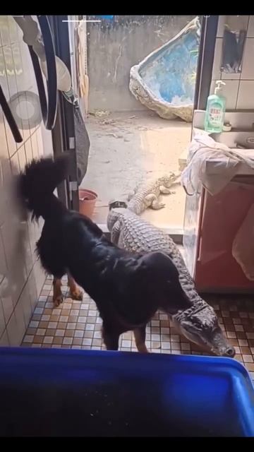 Я пришёл с друзьями смотреть онлайн