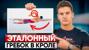 Вот почему твой кроль медленный! 3 фазы идеального гребка | Техника плавания кролем | Swim Rocket