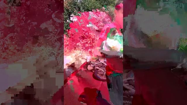 .... смотреть онлайн