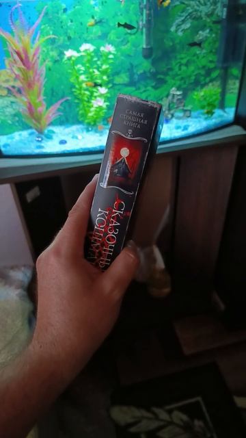 Видели эту книгу? #сказочныйкошмар #самаястрашнаякнига #книги #букток #буктюб смотреть онлайн