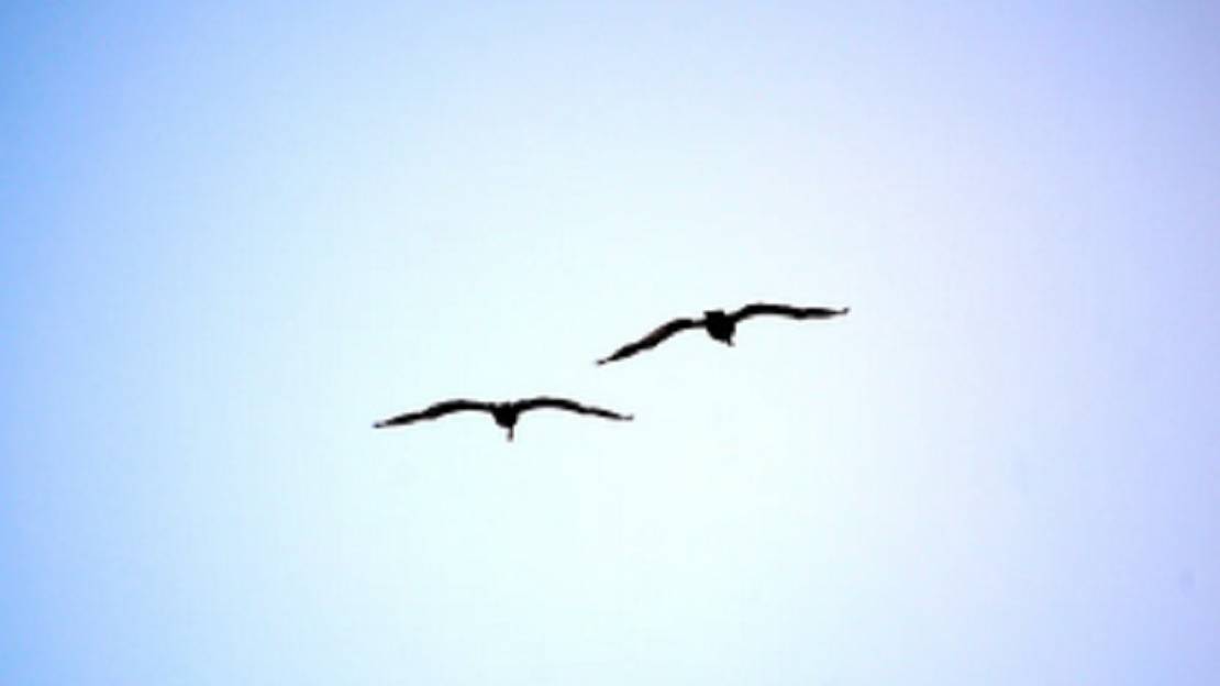 Валерий Леонтьев - Полёт на дельтаплане..автор ролика Светлый смотреть онлайн