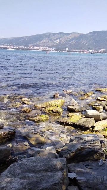 Отдых на море ГЕЛЕНДЖИК смотреть онлайн