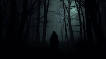 Shadows - Into Decay