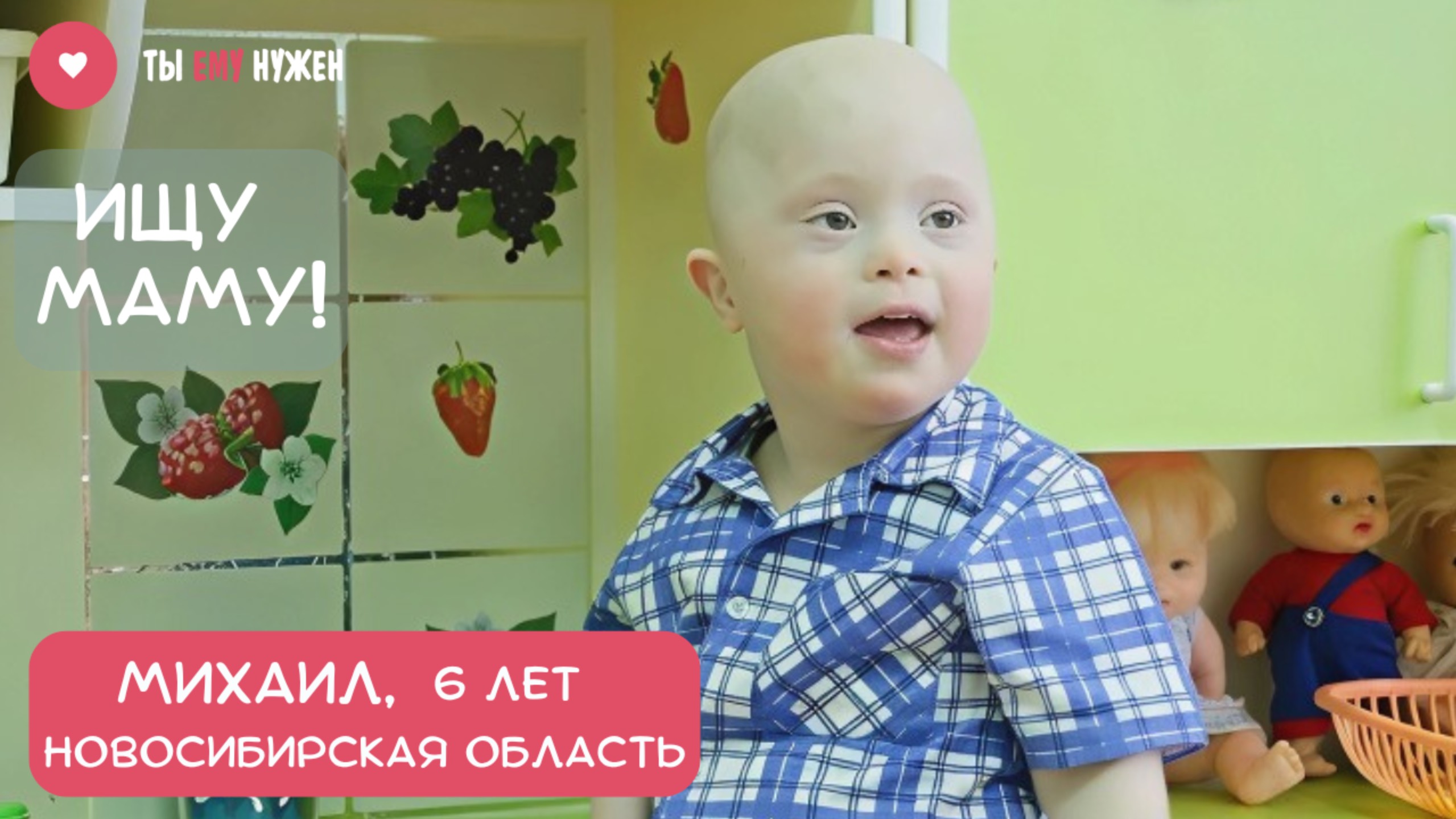 МИШЕ ОЧЕНЬ НУЖНА СЕМЬЯ смотреть онлайн