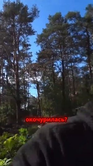 TG: nexpertGM ЭТО НЕ ВЕРОЯТНО! #shorts #независимыйэксперт #георгиймедведев #авто