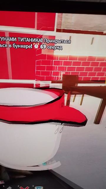 Мой ник в Roblox Pro_metro