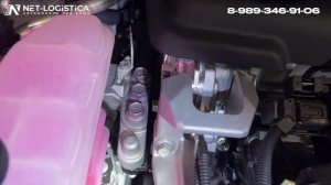 Как и Где!  Найти номер двигателя на Toyota Alphard 2023/24? Net-logistica! А25А.