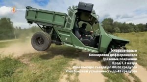 Грузовой багги «Маламут»