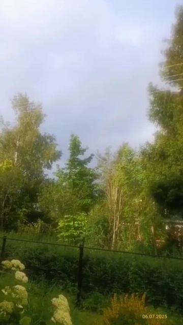 Радуга 06.07.2025