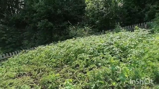 Вот так и живём... Начало июля 2025 года смотреть онлайн