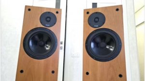 Краткий обзор и пример звучания ProAc Studio 125 + Rotel RB-1552 MkII +  Eversolo dac z8