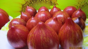 Как найти сайт - каталог ОГОРОДНАЯ АЗБУКА Ольги Черновой для заказа семян?