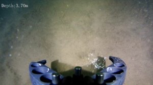 Где то на Зябе. 15.07.25.mp4