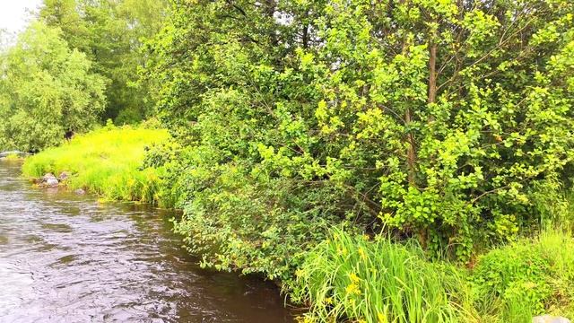 ПРИОЗЕРСК. ДЕРЕВЯННЫЙ МОСТ смотреть онлайн