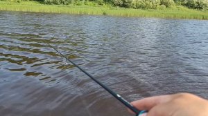 ЩУКА ПОРЕЗАЛА РУКУ. МИКРОДЖИГ ОПЯТЬ ЛОВИТ.