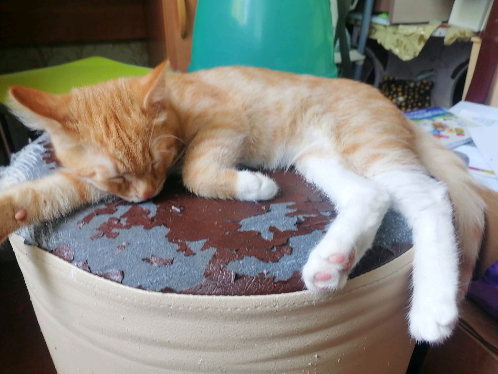 ....... смотреть онлайн