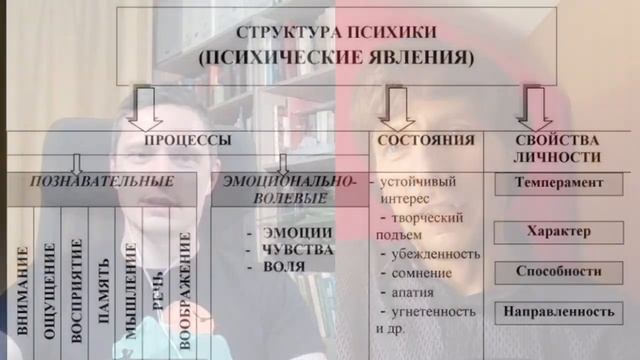 О моделях психики _ Семьеведение