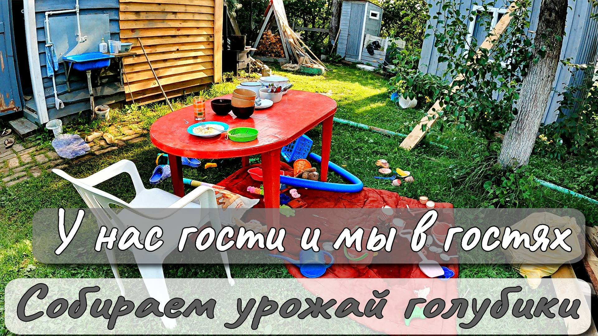 У НАС ГОСТИ И МЫ В ГОСТЯХ СОБИРАЕМ УРОЖАЙ ГОЛУБИКИ смотреть онлайн