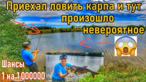 ЭТОГО НЕ МОЖЕТ БЫТЬ...УНИКАЛЬНЫЙ СЛУЧАЙ НА РЫБАЛКЕ😲/ТРОФЕЙНЫЙ ТОЛСТОЛОБИК/РЫБАЛКА НА КАРПА НА ПРУДУ