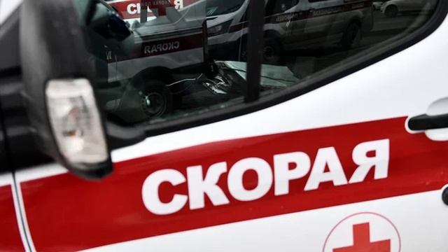 Что известно о нападении на бойца ММА Тимура Хизриева в Дагестане. смотреть онлайн