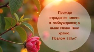 ВНОВЬ ОЧИЩАЕТСЯ ДУША❗