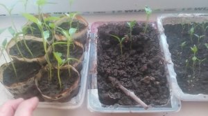 VID_20250715_192552.mp4