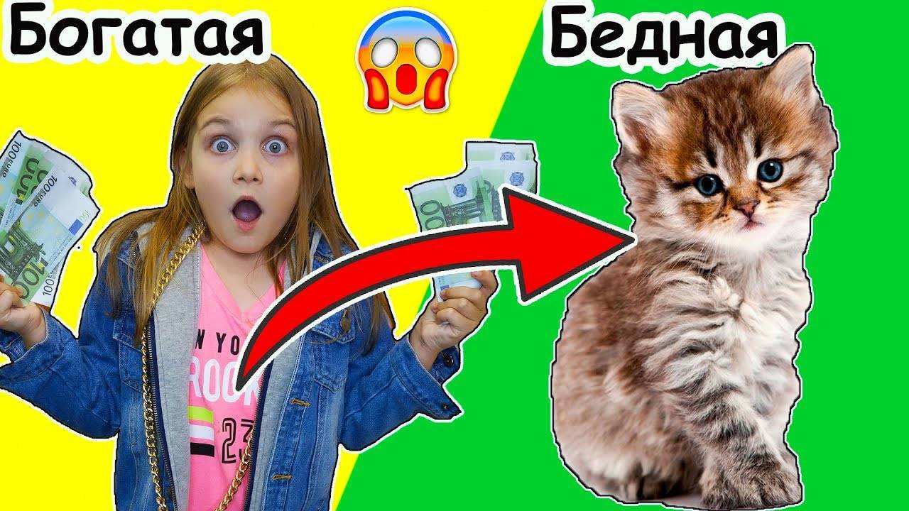 Богатая девочка превратилась в бедного котёнка 💎➡️🐾 | Волшебная история! | Мимилашка смотреть онлайн