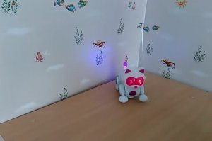 Пёс робот кот 1 серия