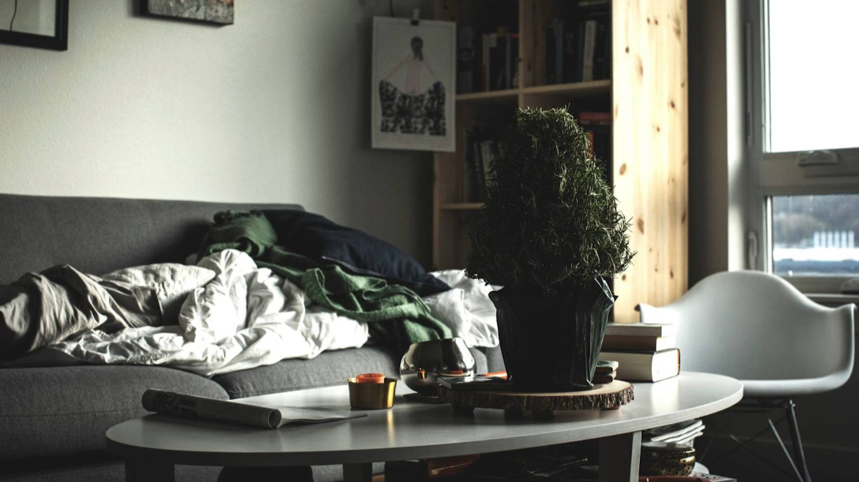 День беспорядка. Утро Губернии