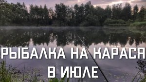Рыбалка в Подмосковье на карася летом в июле на пруду ВИДЕО