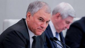 Володин предложил сделать детские сады в селах бесплатными в рамках демографической поддержки