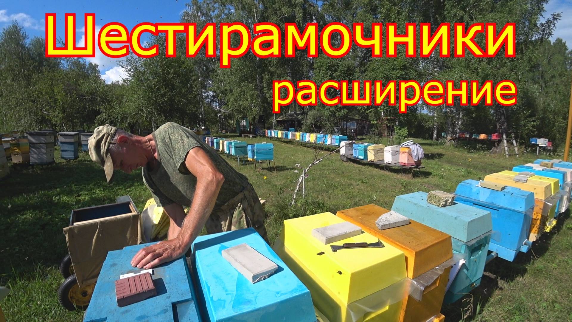 ШЕСТИРАМОЧНИКИ, расширение. КАРНИКА в СИБИРИ смотреть онлайн