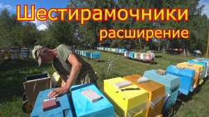 ШЕСТИРАМОЧНИКИ, расширение. КАРНИКА в СИБИРИ