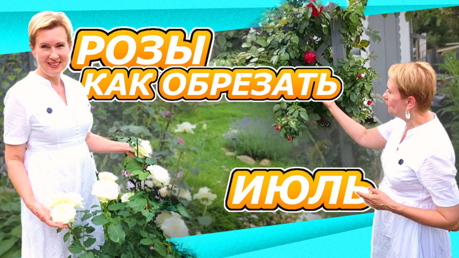 КАК ОБРЕЗАТЬ РОЗЫ ЧТОБЫ ЕЩЕ РАЗ ЦВЕЛИ? КУСТОВЫЕ, ПЛЕТИСТЫЕ ШТАМБОВЫЕ - режем вместе + обзор сортов смотреть онлайн