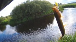 В Этой Микроречке много Щуки. Рыбалка на спиннинг 2025. Рыбалка на лугах