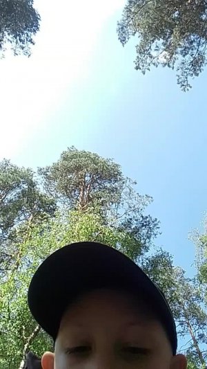 Алтайский край