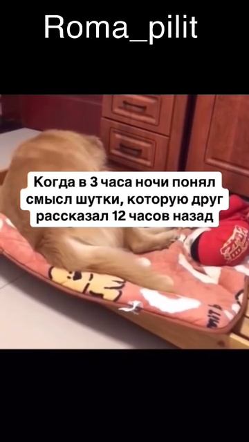 #смех #прикол #осознание #юмор смотреть онлайн