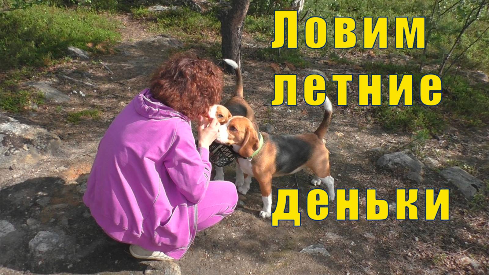 В МУРМАНСК ПРИШЛО ЛЕТО /ПИКНИК С БИГЛЮКАМИ /10 июля 2025 смотреть онлайн