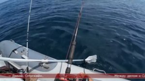16.07.2025 Сахалинские блоги. ВИДЕО ОТ СВЕТЛАНЫ. Рыбачим в море на 30 метрах, июль, жара