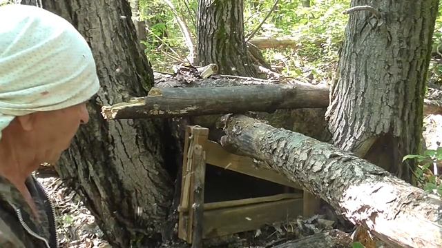 Самая простая и самая уловистая ловушка на куньих ПРОСКОК смотреть онлайн